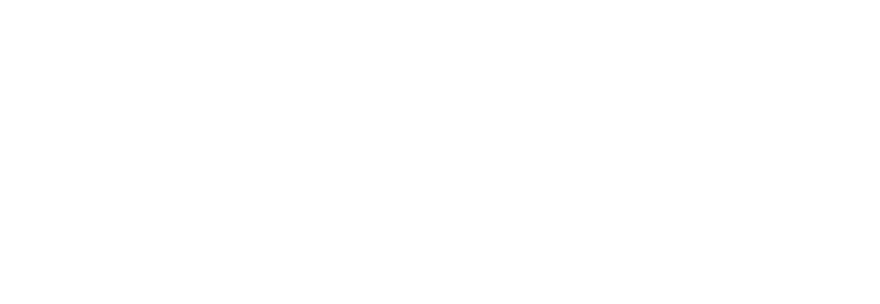 Rapid Solution 3D stampa Logo White